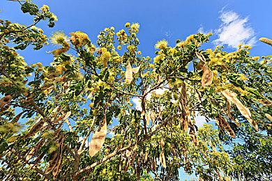 《赛博朋克2077》开发商不想用DLC淡化原版结局