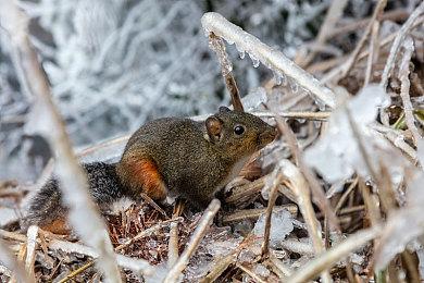 《龙与地下城》3A新作开发中 虚幻5引擎