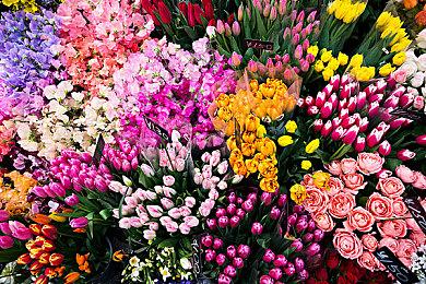 《荒野大镖客2》狗狗凯恩的现实动捕表演狗去世